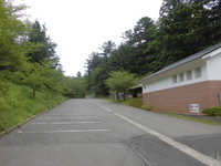 Medium_013 